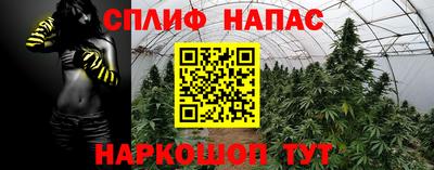 a pvp Ставрополь