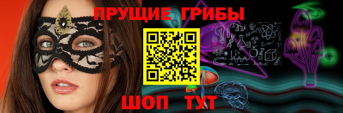 Псилоцибиновые грибы Psilocybe Мурманск