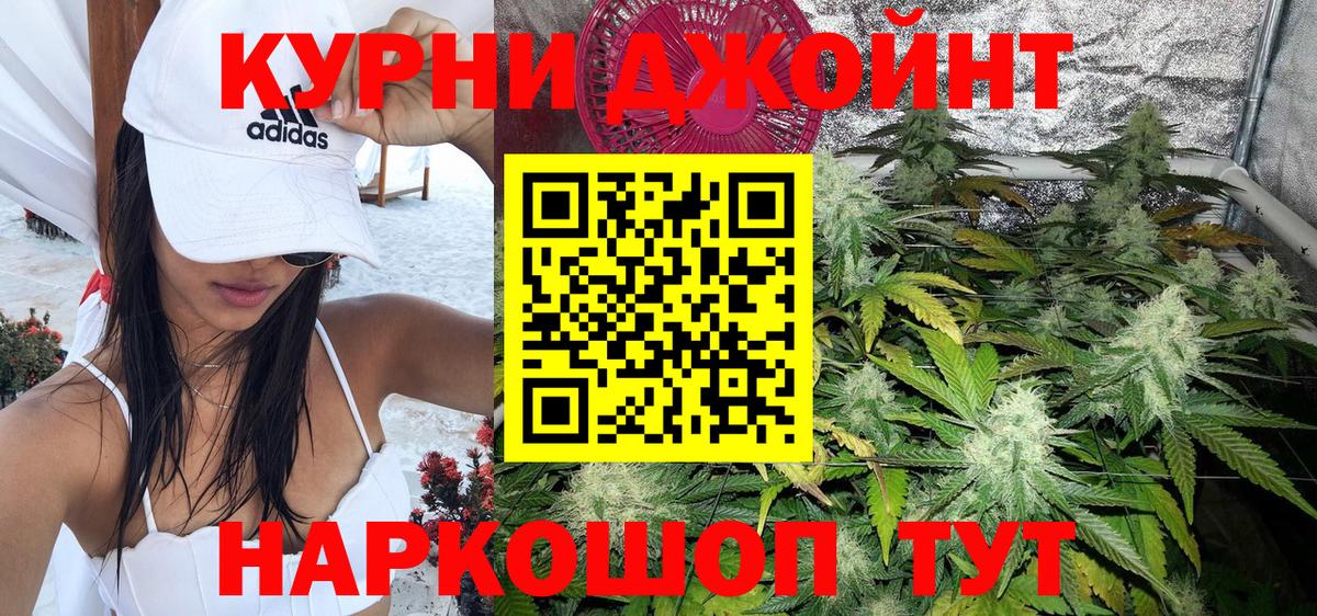APVP Мурманск